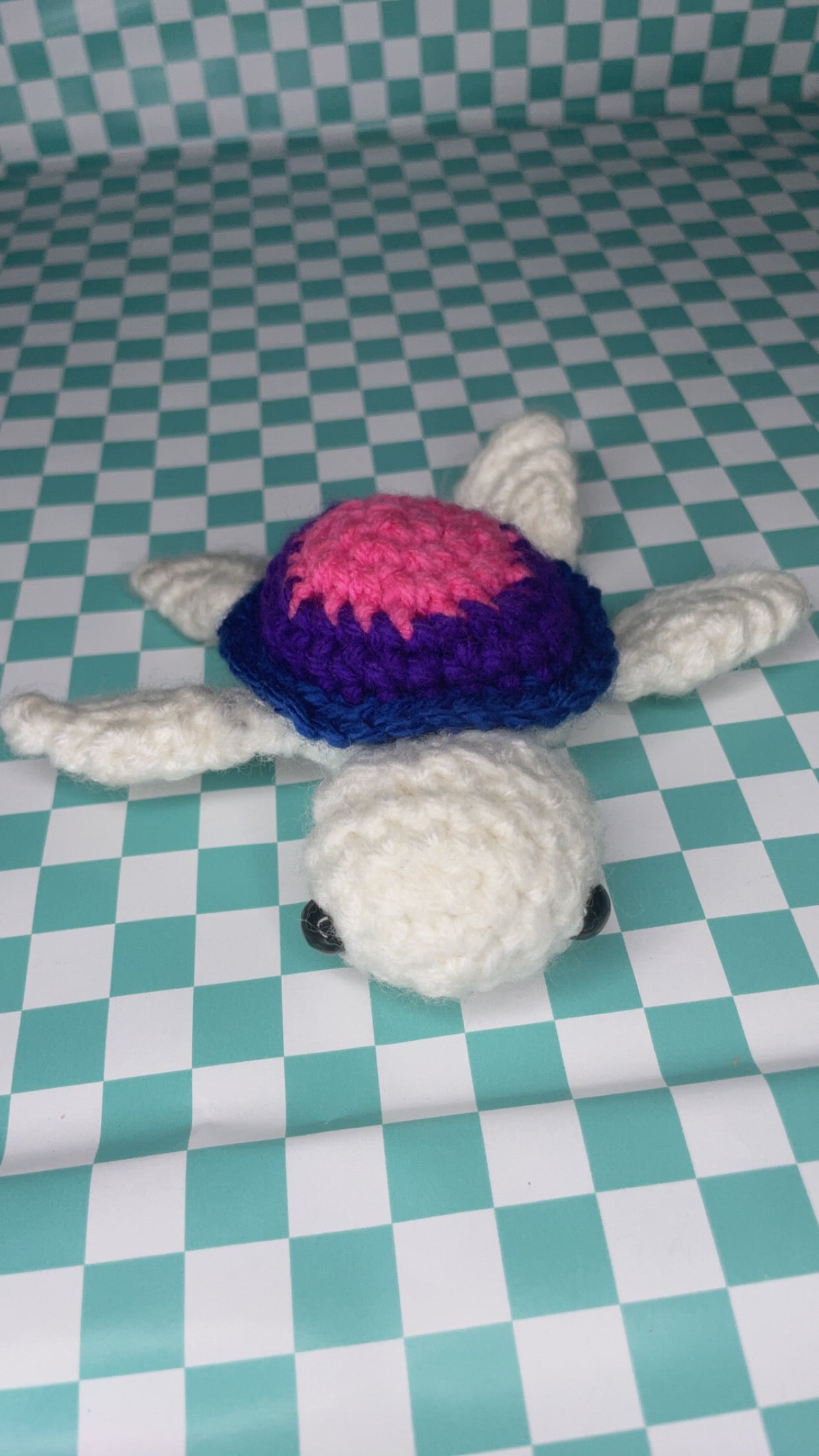Pride turtle