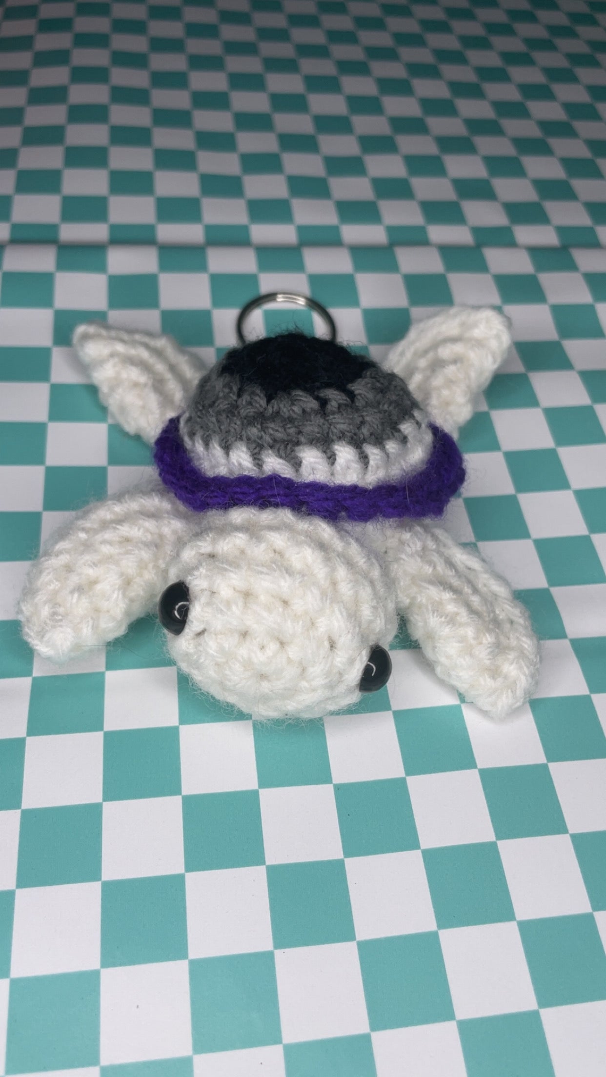Pride turtle