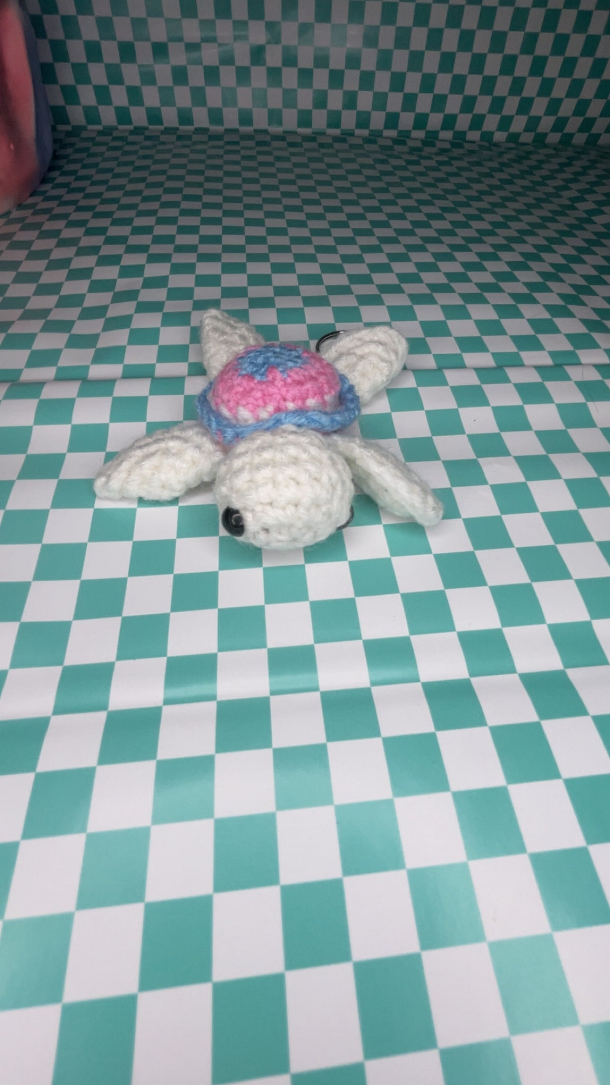 Pride turtle